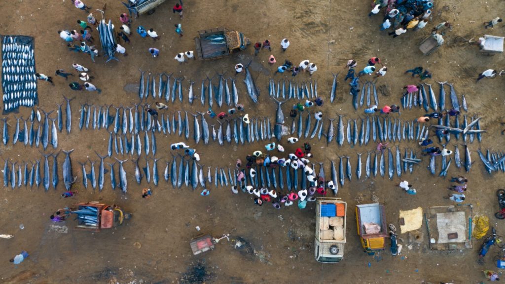 drone photo award en la categoria de series